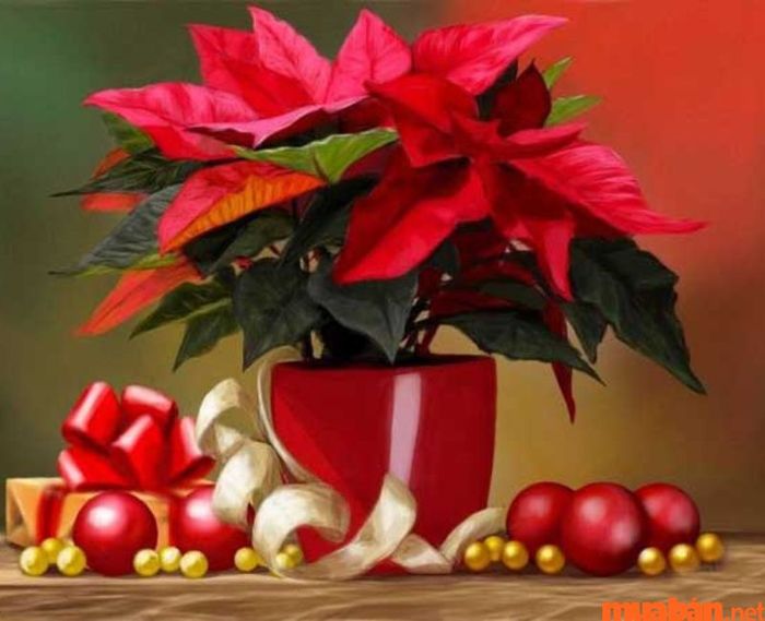 Người sinh năm 1969 thuộc mệnh gì?