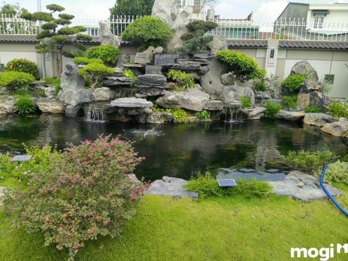 Tự làm hồ cá sân vườn