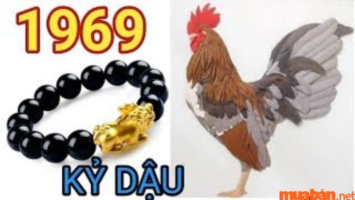 1969 mệnh gì