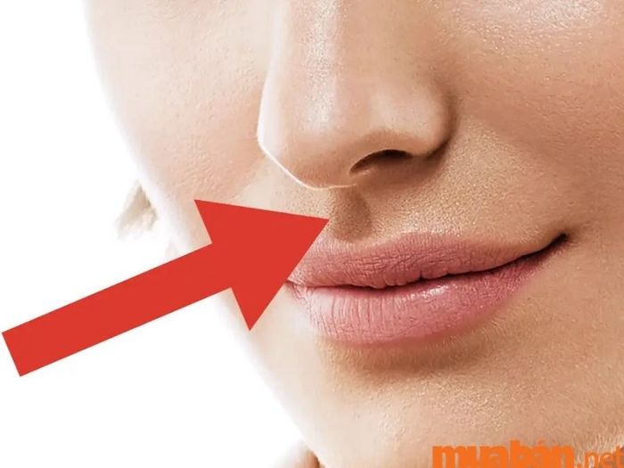 Nhân trung có ý nghĩa gì? Đó là một bộ phận nằm trên khuôn mặt mỗi người, giữa miệng và mũi.