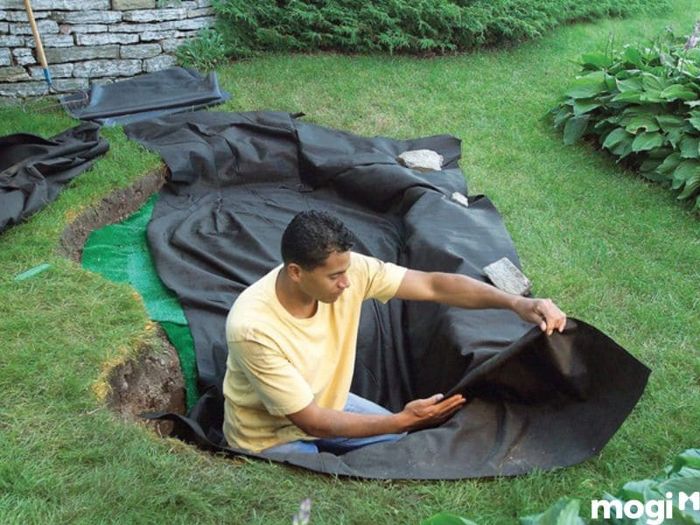 tự xây dựng hồ cá sân vườn