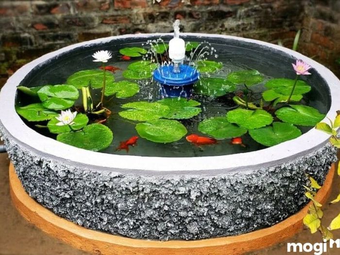 Hướng Dẫn Tự Làm Hồ Cá Sân Vườn