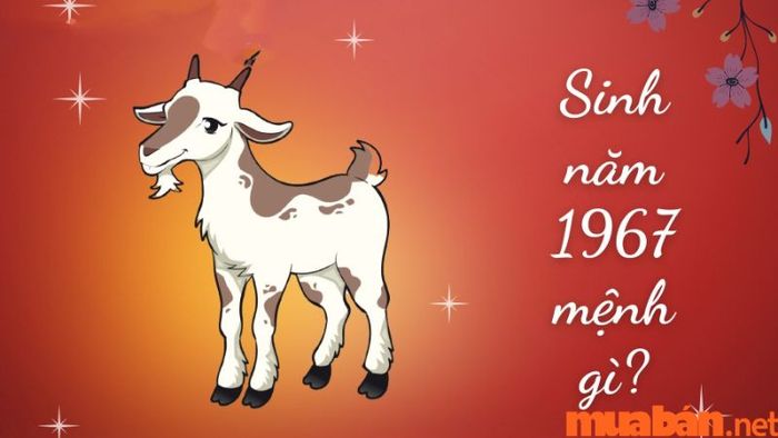 Mệnh của người sinh năm 1967 là gì?