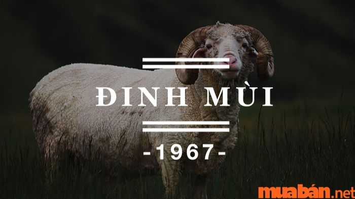 Người sinh năm 1967 thuộc mệnh gì?
