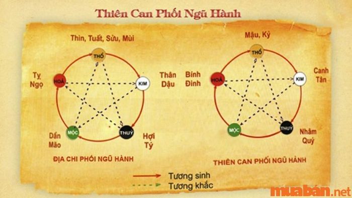 Tử vi Canh Ngọ 1990 nam mạng năm 2024 theo thiên can