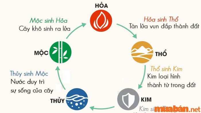 Tử vi Canh Ngọ 1990 nam mạng năm 2024 qua ngũ hành