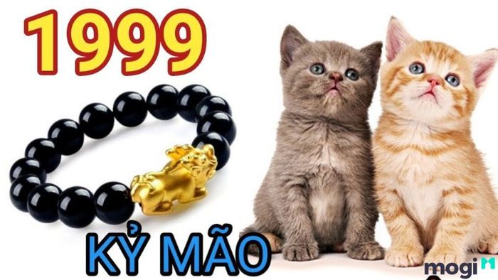 Nữ 2002 nên kết hôn với tuổi nào để đạt được sự viên mãn?