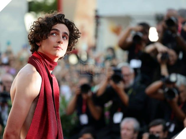 Timothée Chalamet Đã Nhận Lời Khuyên Về Việc Thay Đổi Ngoại Hình Để Nhận Vai Diễn 3