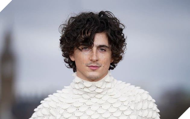Timothée Chalamet Đã Nhận Lời Khuyên Về Việc Thay Đổi Ngoại Hình Để Có Cơ Hội Nhận Vai Diễn