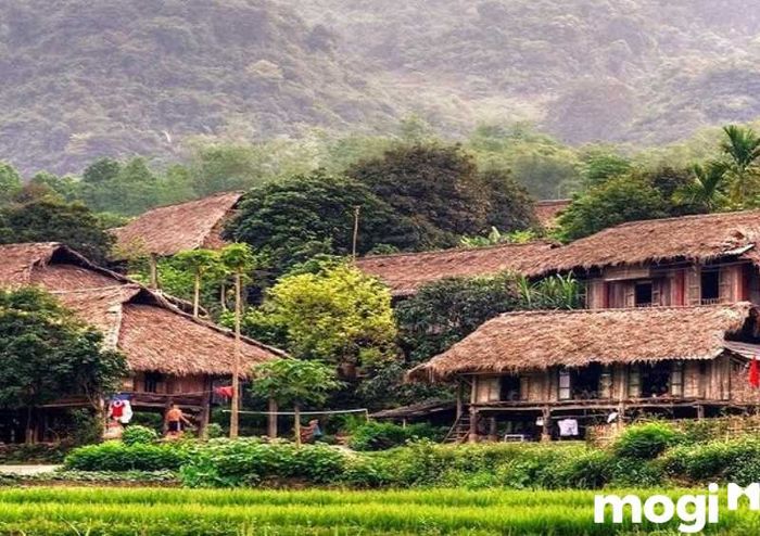 Tết này đi đâu? Mai Châu – Hòa Bình là lựa chọn tuyệt vời để tận hưởng không khí trong lành và khám phá thiên nhiên tuyệt đẹp.