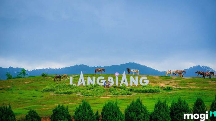 Cuối năm nên đi du lịch ở đâu nhỉ?