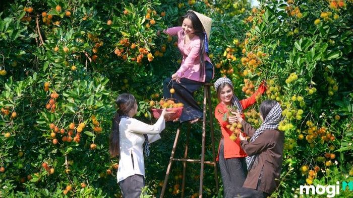 Cần Thơ có gì chơi?