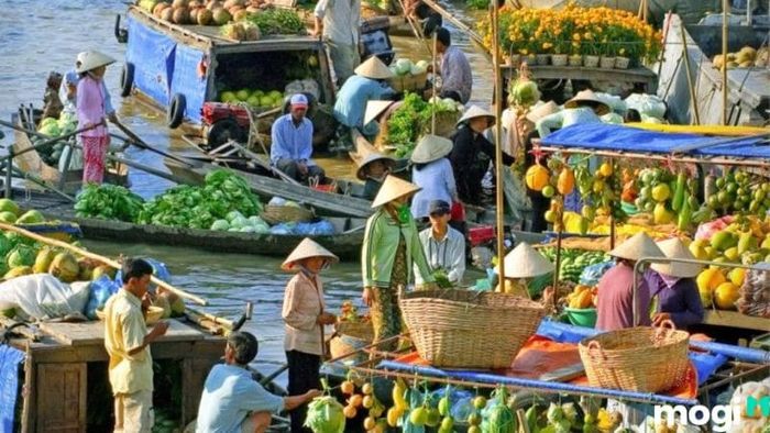 Cần Thơ có gì thú vị để khám phá?