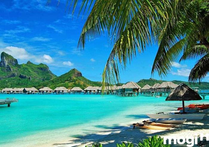 Tết này bạn sẽ đi đâu? Phú Quốc – Kiên Giang, nơi tuyệt vời để nghỉ dưỡng và khám phá thiên nhiên hoang sơ.