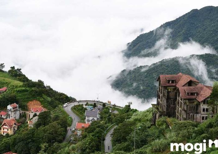 Tết này nên đi đâu? Tam Đảo – Vĩnh Phúc là điểm đến lý tưởng để bạn tận hưởng không khí trong lành và vẻ đẹp hoang sơ của thiên nhiên.