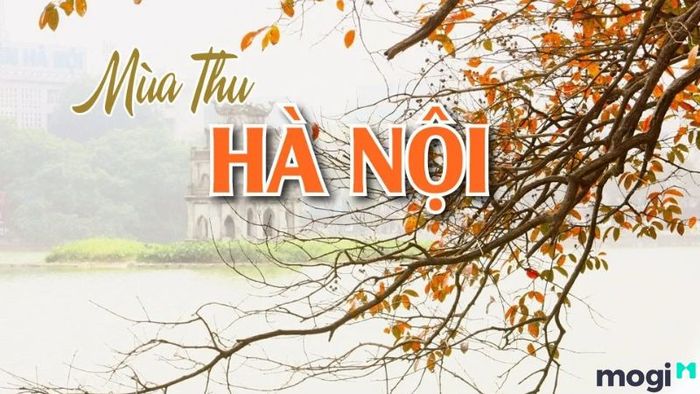 Cuối năm nên đi đâu du lịch?