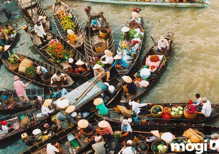 Tết này, bạn đã chọn điểm đến nào? Chợ nổi Cái Răng – Cần Thơ, nơi tuyệt vời để khám phá văn hóa và thưởng thức những món đặc sản độc đáo.