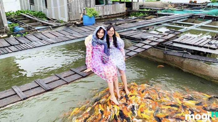 Cần Thơ có những hoạt động gì thú vị?