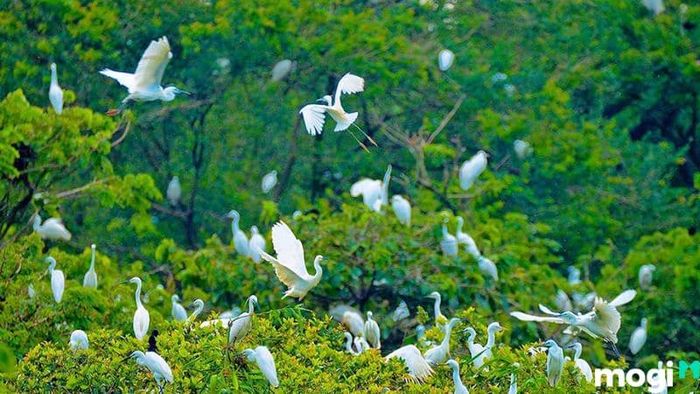 Cần Thơ có gì chơi