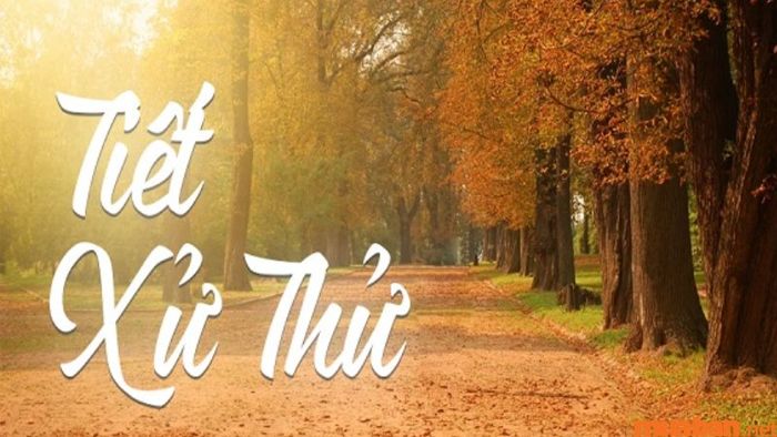 Tiết Xử Thử là gì và vào ngày nào trong năm 2024? Hãy cùng tìm hiểu!