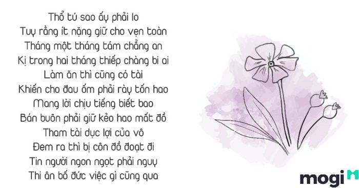 Sao Thổ Tú là gì?