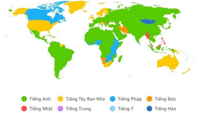 Cách tải Duolingo trên máy tính miễn phí với phiên bản mới nhất 2024.