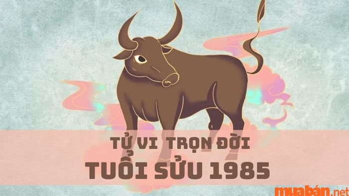 Tử vi tuổi Ất Sửu 1985 trọn đời và những dự đoán chính xác nhất về vận mệnh