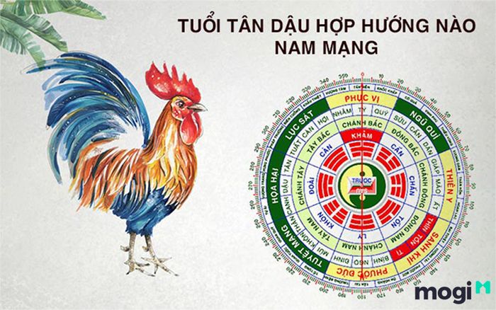 Tuổi Tân Dậu nên chọn hướng làm việc nào?