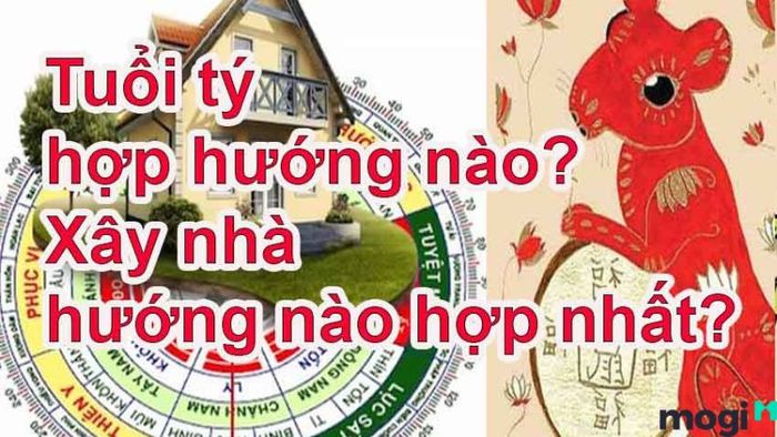 Tuổi Tý là con gì?
