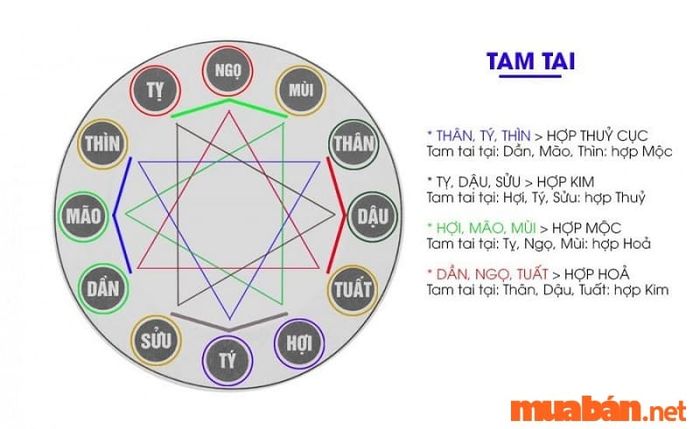 Tử vi năm 2024 của Canh Tý 1960 nam mạng không gặp phải tam tai trong cuối năm.