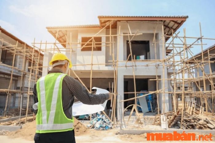 Theo tử vi Tân Dậu 1981 nam mạng năm 2024, chủ mệnh có thể tiến hành xây dựng hoặc sửa chữa nhà cửa.