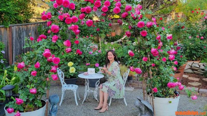 Trồng hoa trong vườn không chỉ tạo ra không gian xanh mà còn mang lại lợi ích cho sức khỏe của mọi thành viên trong gia đình.