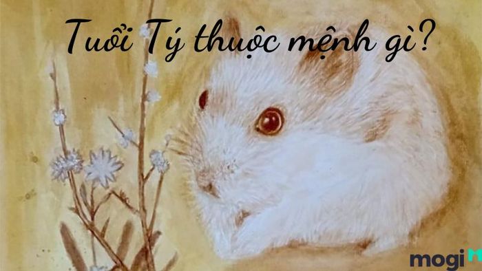 Tuổi Tý là con gì?
