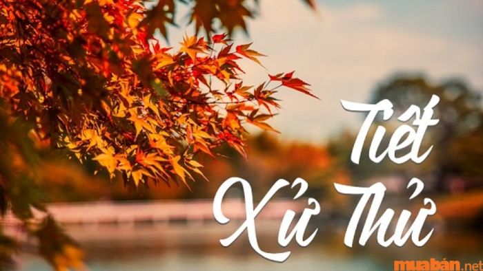 Trong tiết Xử Thử, nhiệt độ giảm dần qua từng ngày, mang lại cảm giác mát mẻ hơn hẳn so với trước đó.