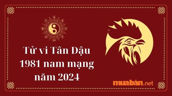 Tử vi nam mạng Tân Dậu 1981 trong năm Giáp Thìn 2024