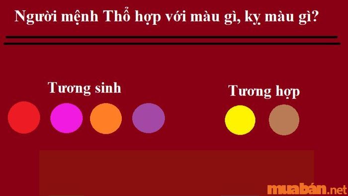 Màu sắc phù hợp với nữ mạng Canh Ngọ 1990.