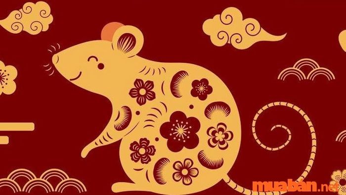 Tử vi nam mạng Canh Tý 1960 trong năm 2024