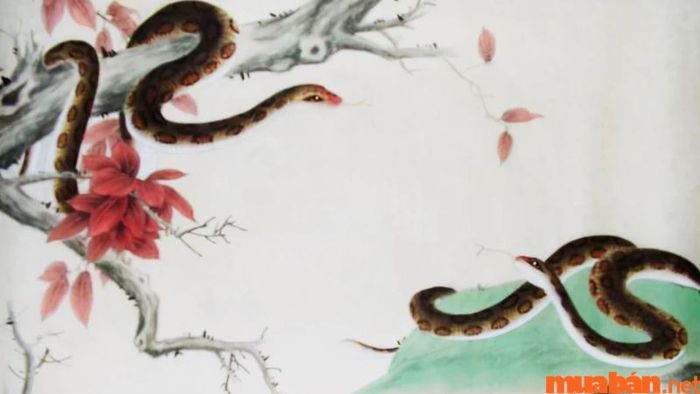 Tuổi hợp với Tân Tỵ trong tình yêu và công việc