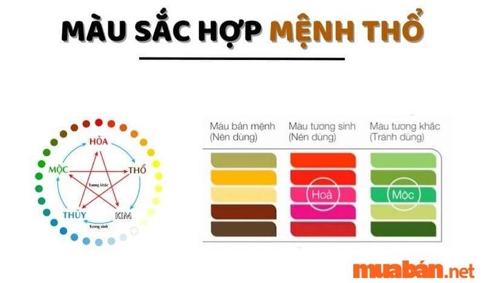 Những màu sắc tương thích với tuổi Canh Tý 1960 sẽ mang lại sự may mắn và thuận lợi.
