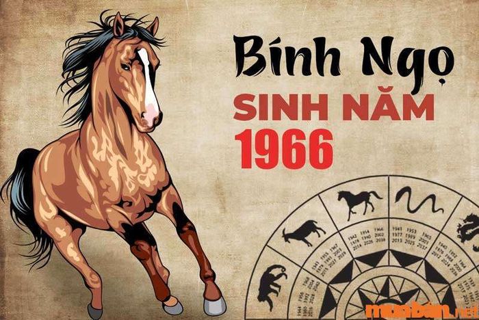Tổng quan về vận mệnh của tuổi Bính Ngọ 1966