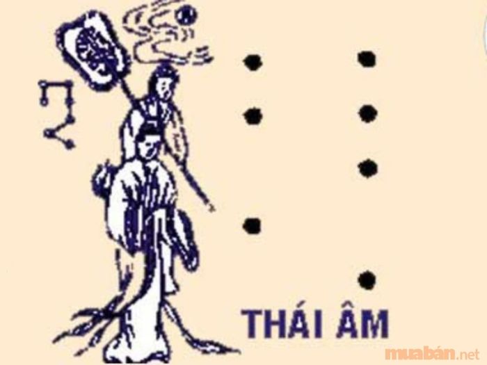 Tân Dậu 1981 nam mạng trong năm 2024 được sao Thái Âm chiếu mệnh, mang đến vận may và cát lợi, đặc biệt trong tình duyên và công việc.