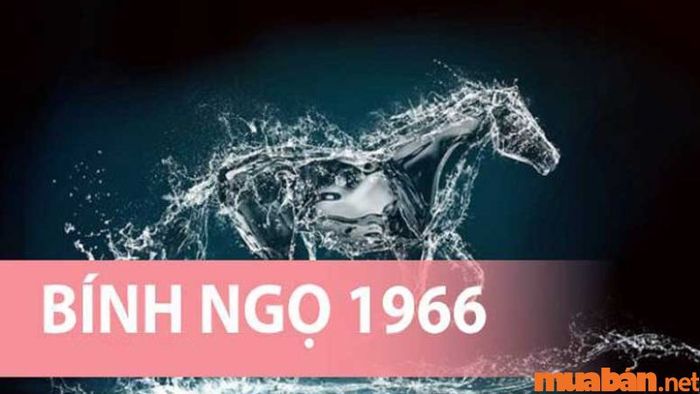 Tổng quan về tử vi của tuổi Bính Ngọ 1966