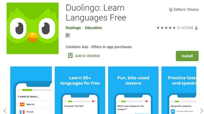 Hướng dẫn tải Duolingo trên máy tính miễn phí với phiên bản cập nhật mới nhất năm 2024