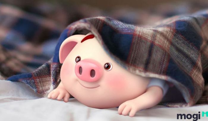 Hợi là con gì - Mệnh của người tuổi Hợi
