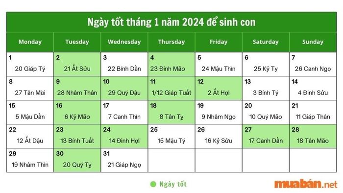 Ngày đẹp tháng 1 cho việc sinh con