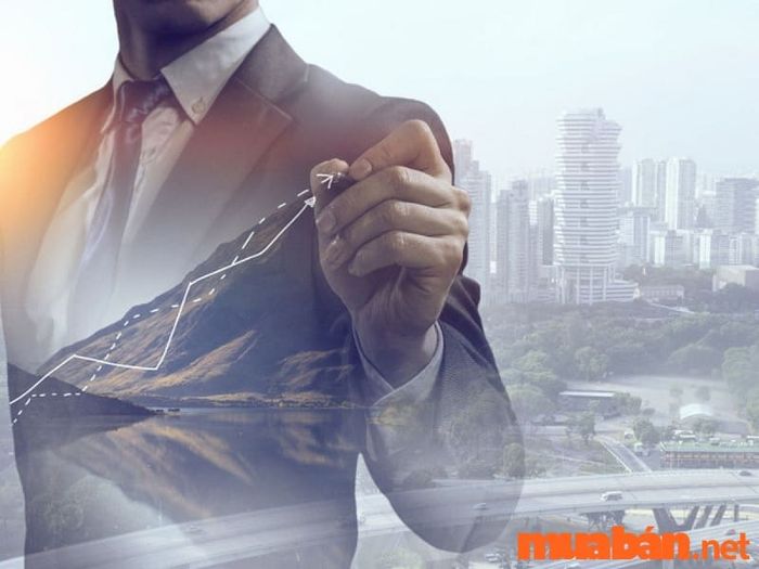 Tử vi nam mạng Tân Dậu 1981 năm 2024 sẽ gặp nhiều thách thức và khó khăn trong công việc