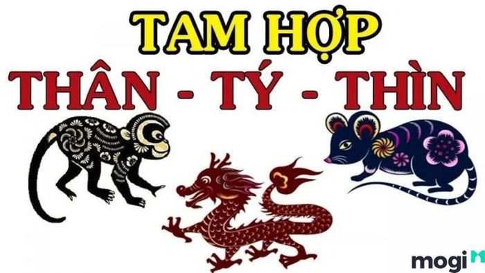 Tuổi Tý thuộc con gì?
