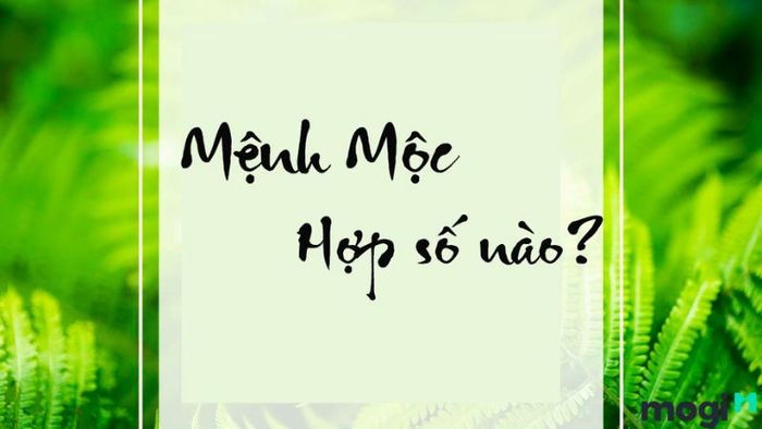 Hướng dẫn cách chọn tên công ty theo phong thủy