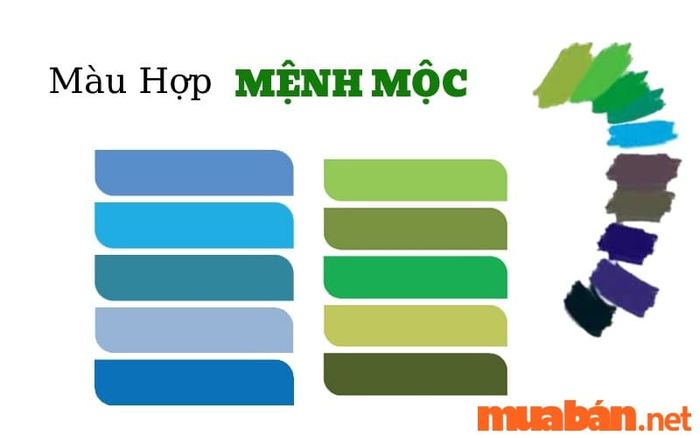 Màu sắc tương hợp với mệnh Mộc của tuổi Tân Dậu 1981 là màu xanh lá cây, cùng các màu tương sinh như xanh dương và đen.