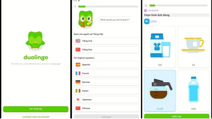 Hướng dẫn tải Duolingo trên máy tính miễn phí với phiên bản mới nhất 2024